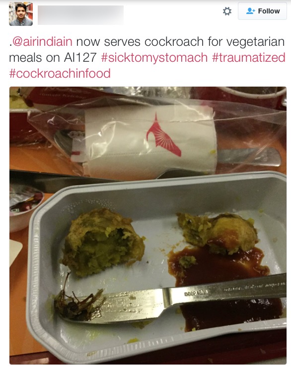 Air India inflight meal