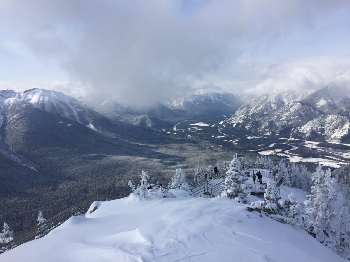 a snowy mountain with trees and a valley in the background