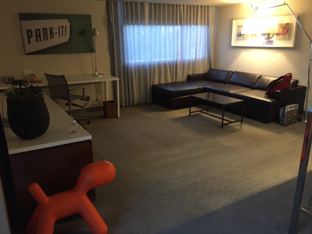 Spacious living room with Leather Sofa, Orange Dog and work desk