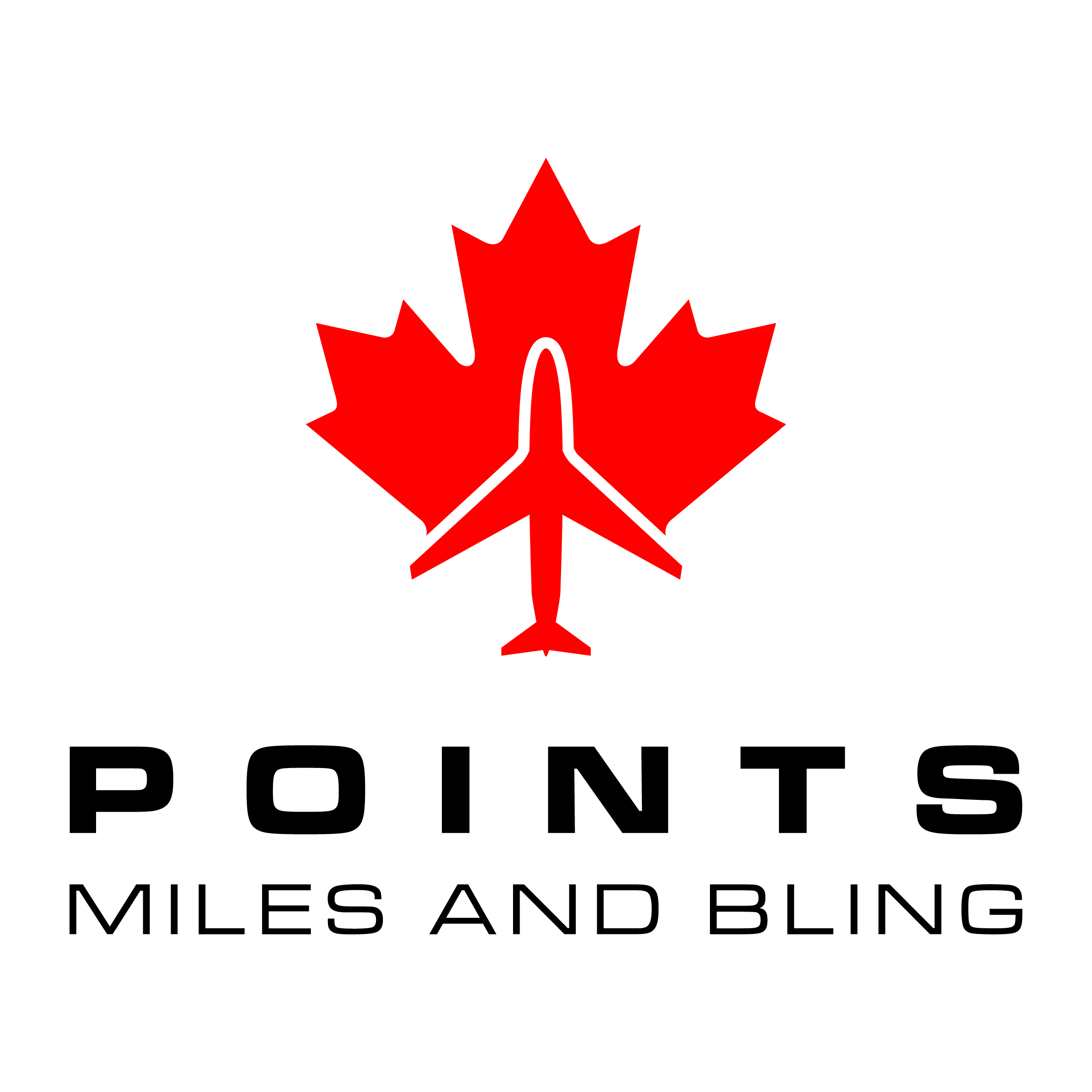 Points Miles and Bling logo