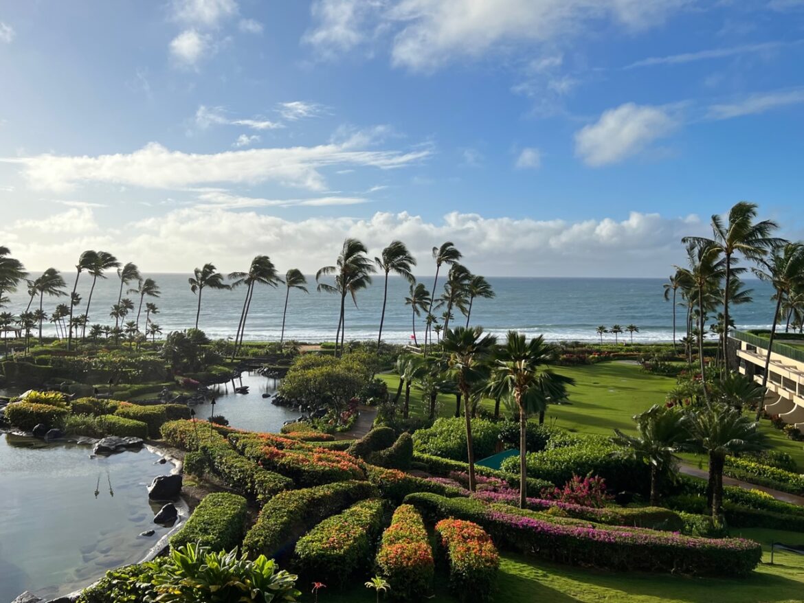 image0 a tropical garden with palm trees and a body of water