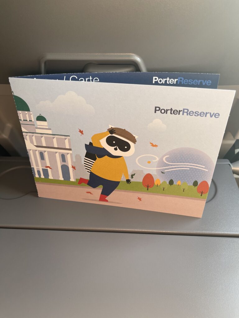 a brochure on a plane