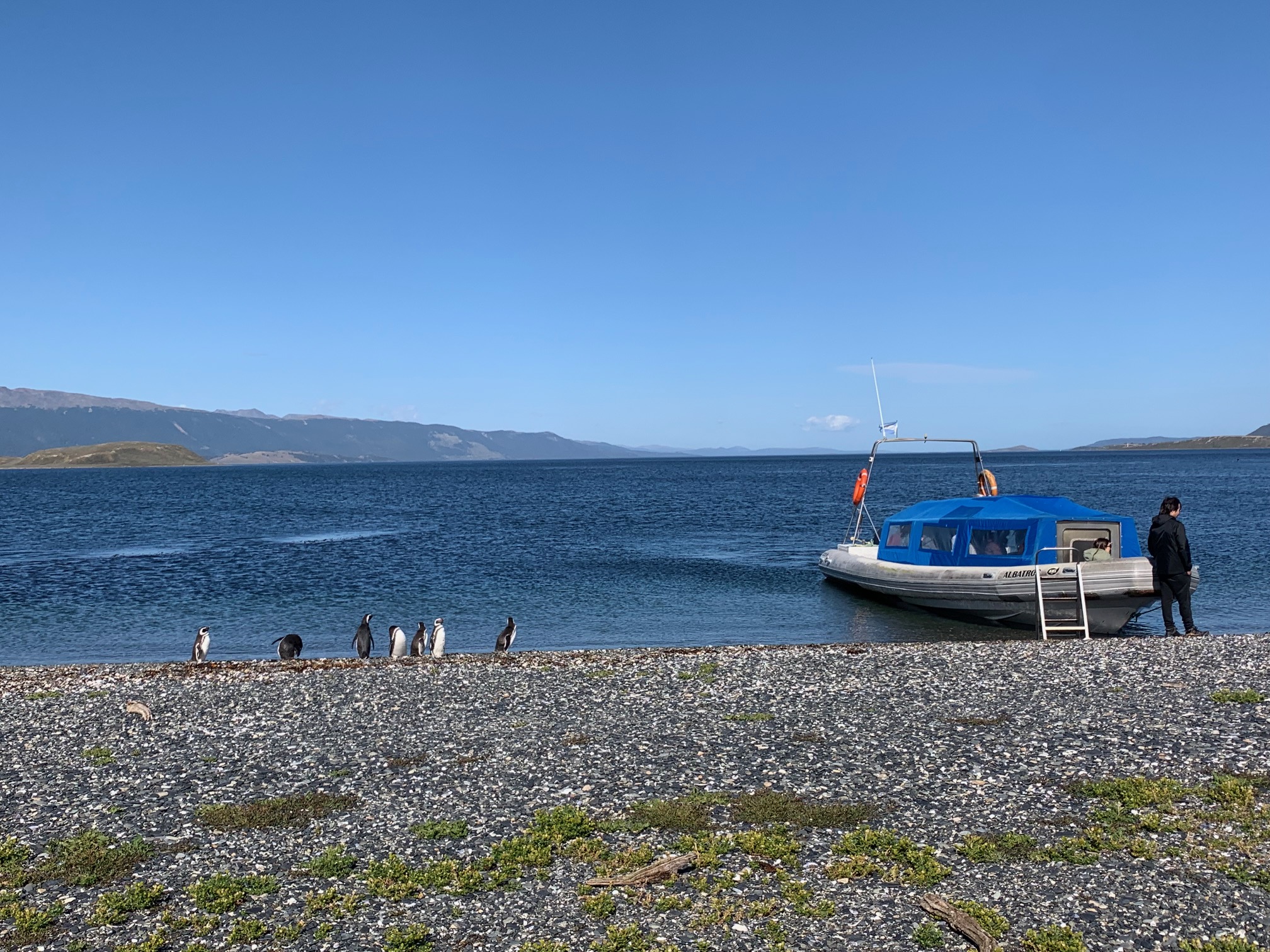 Boat ride to Martillo Island (Penguin Colony)