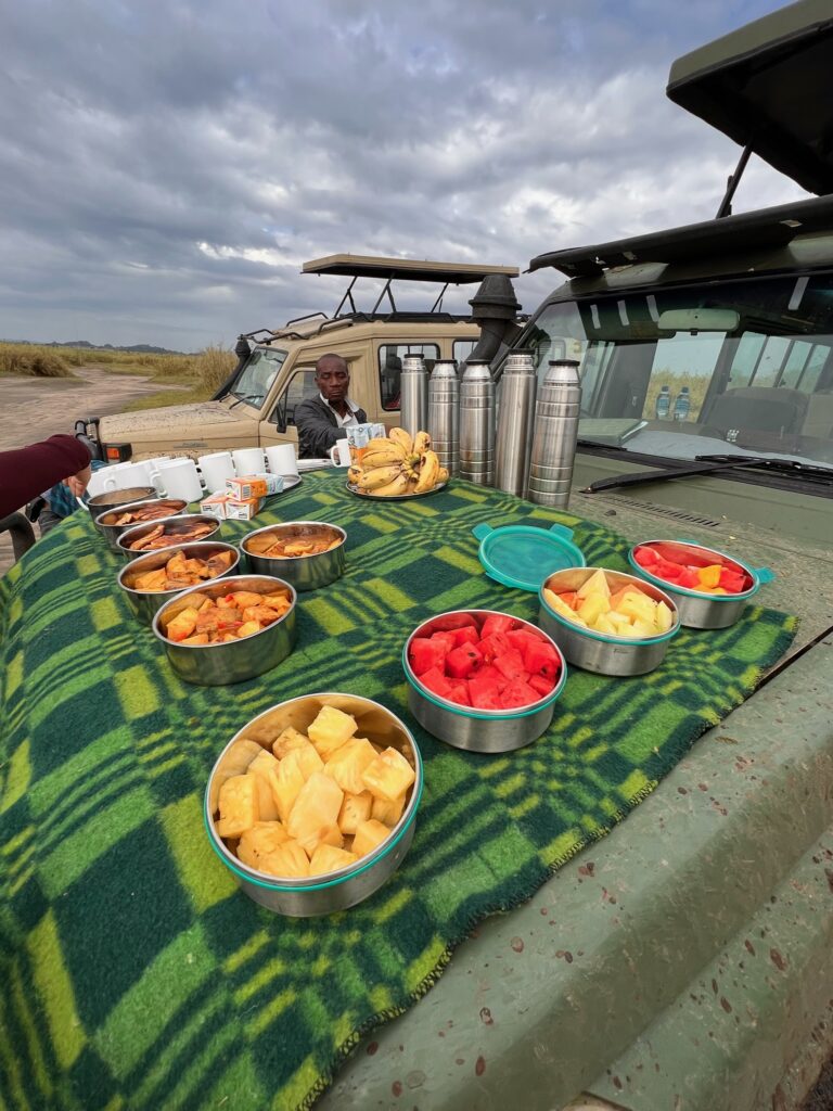 a food on the hood of a vehicle