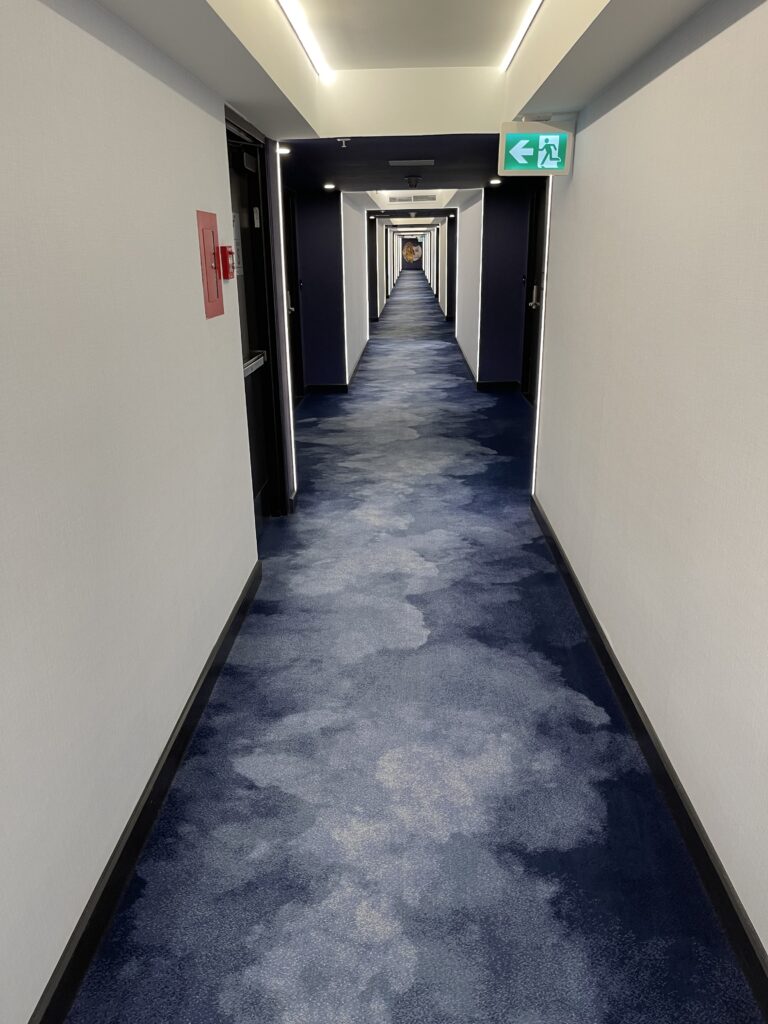 a long hallway with blue carpet