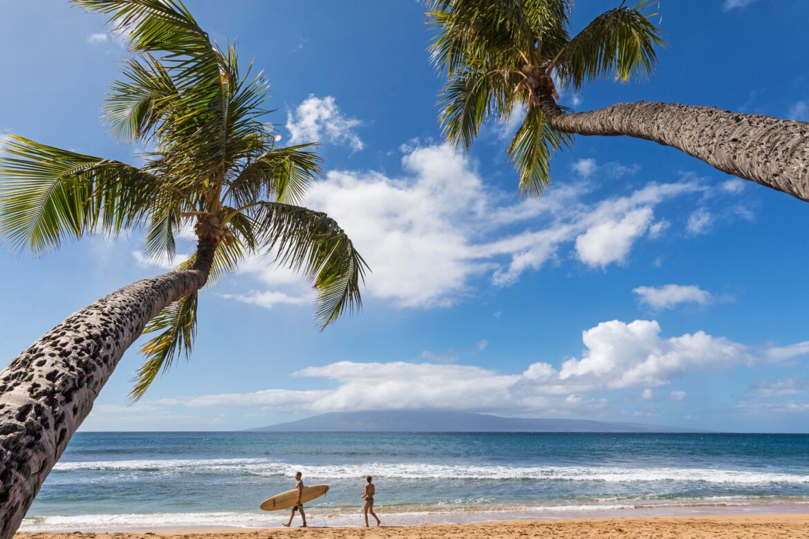 two people walking on a beach with palm trees