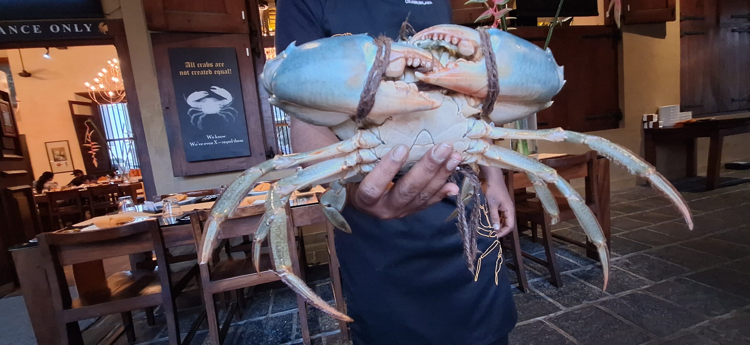 a person holding a crab