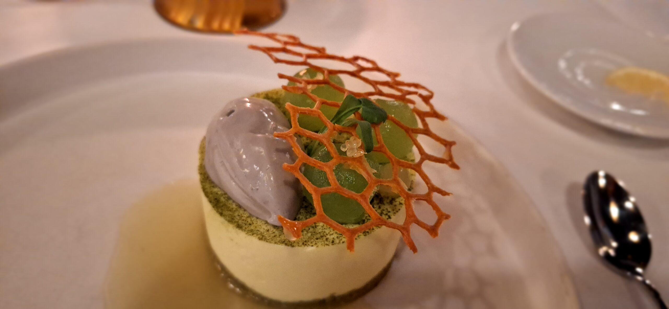a dessert with a net on top
