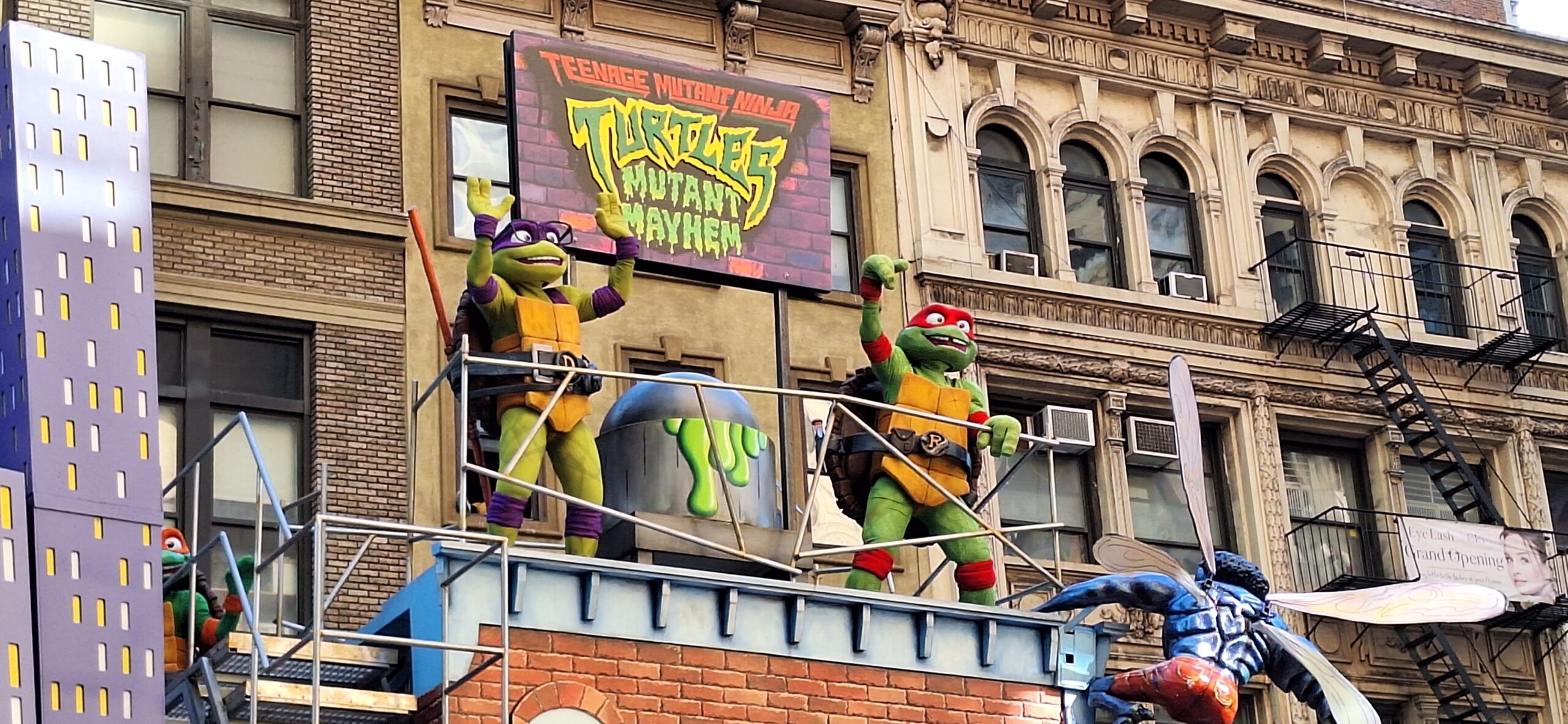 a group of turtles on a building