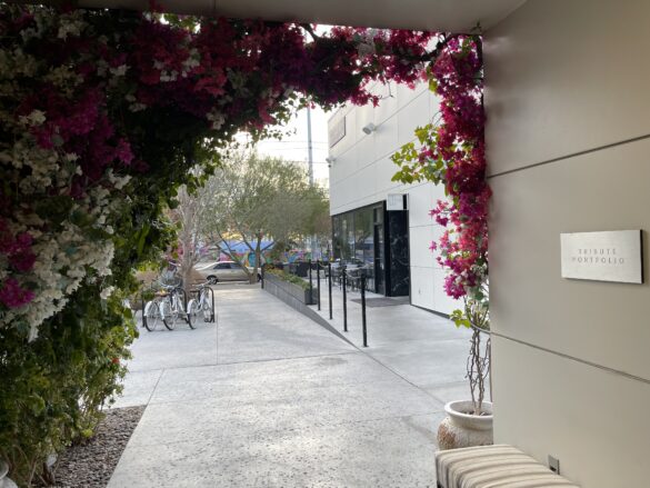 a walkway with flowers and a building