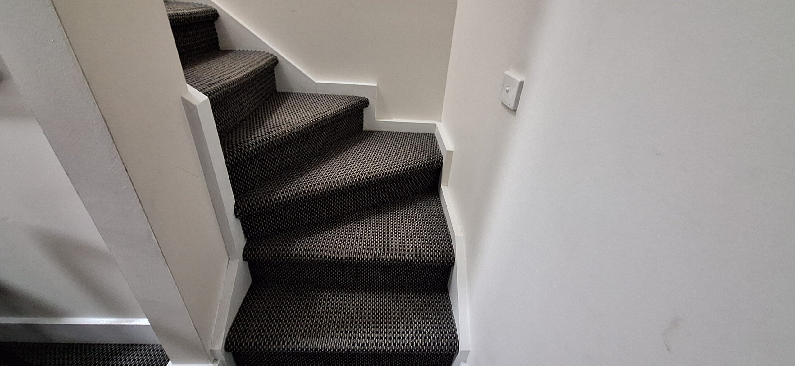 a staircase with carpeted steps