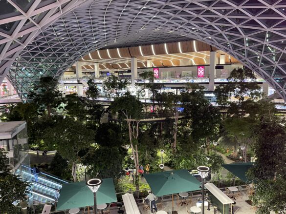 a large indoor building with trees and people
