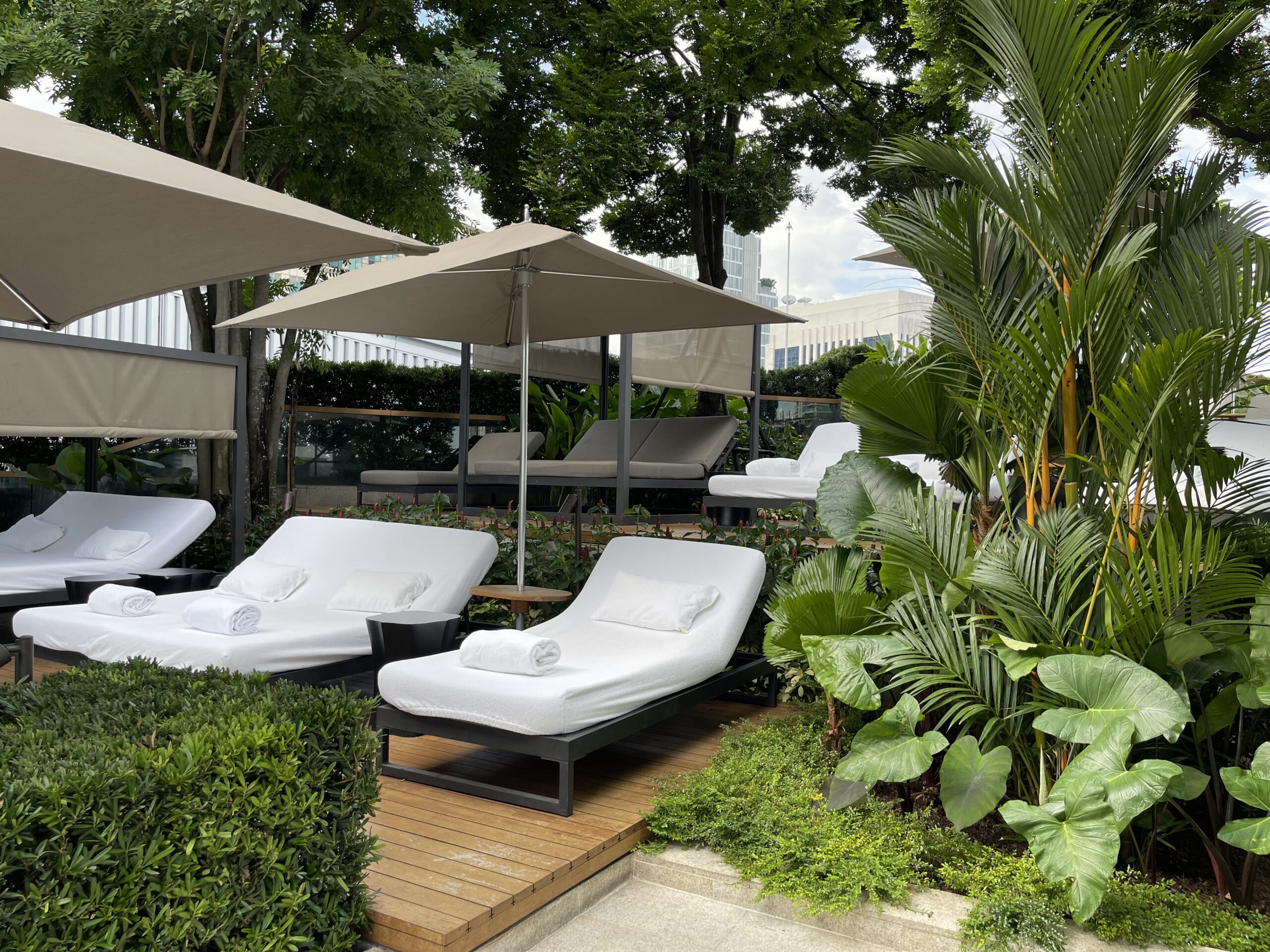 a group of lounge chairs and umbrellas in a garden