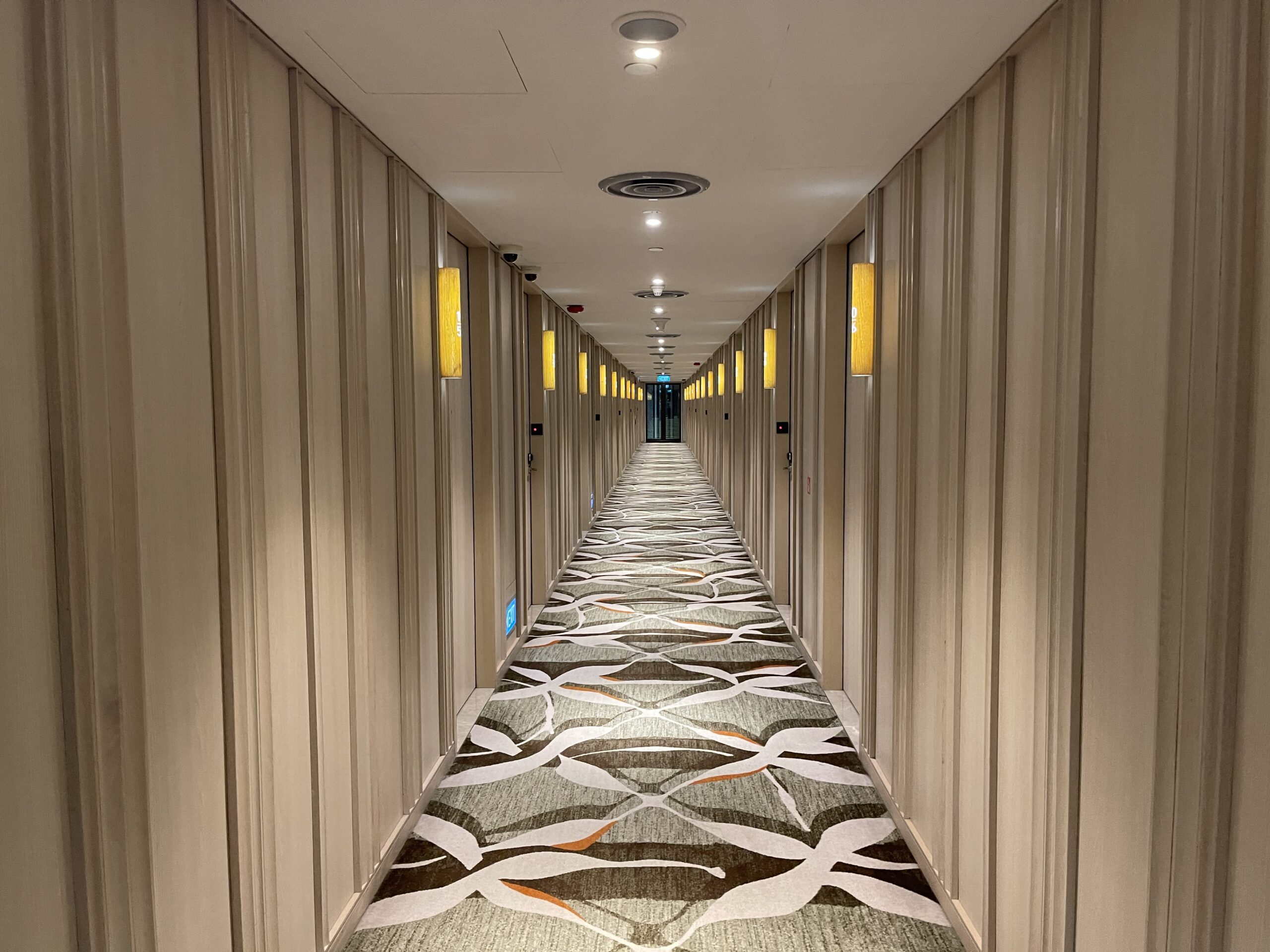 a long hallway with a carpeted floor