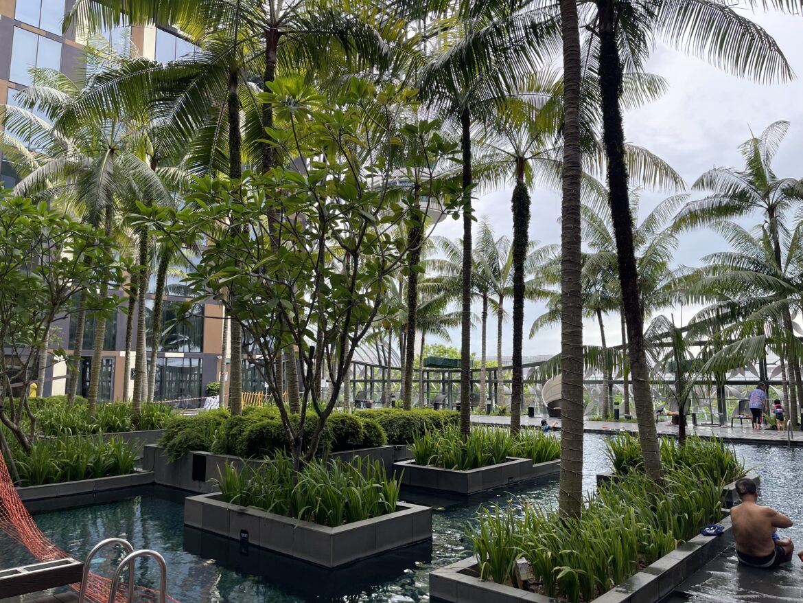 a pool with trees and plants in it