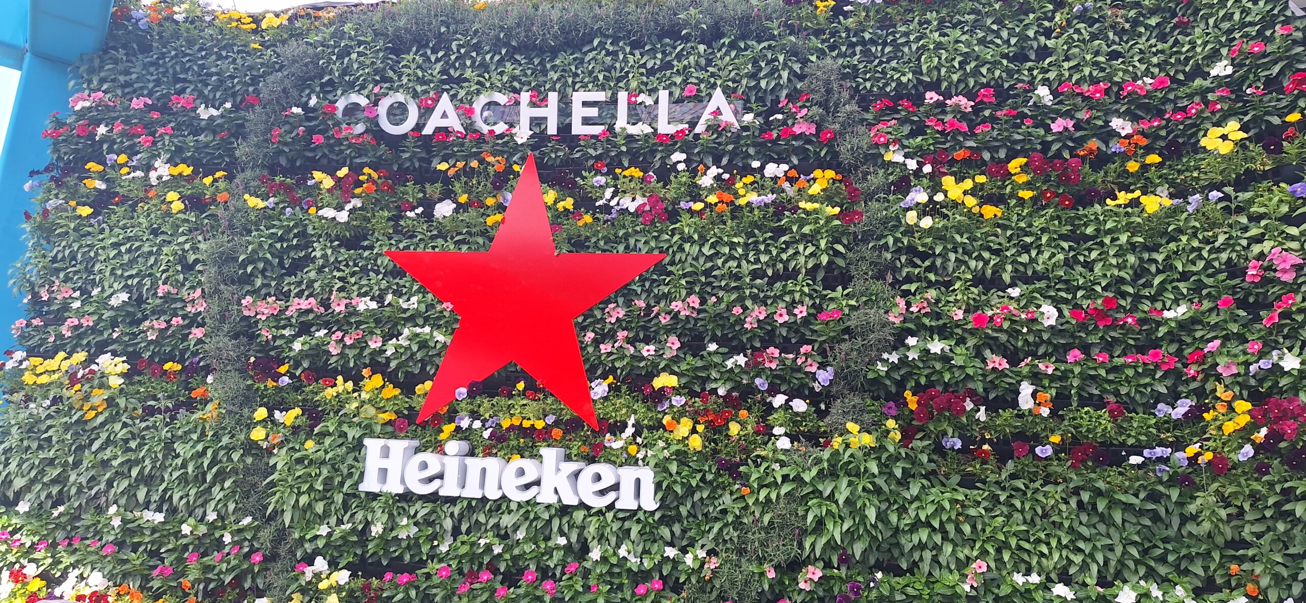 a wall of flowers with a red star