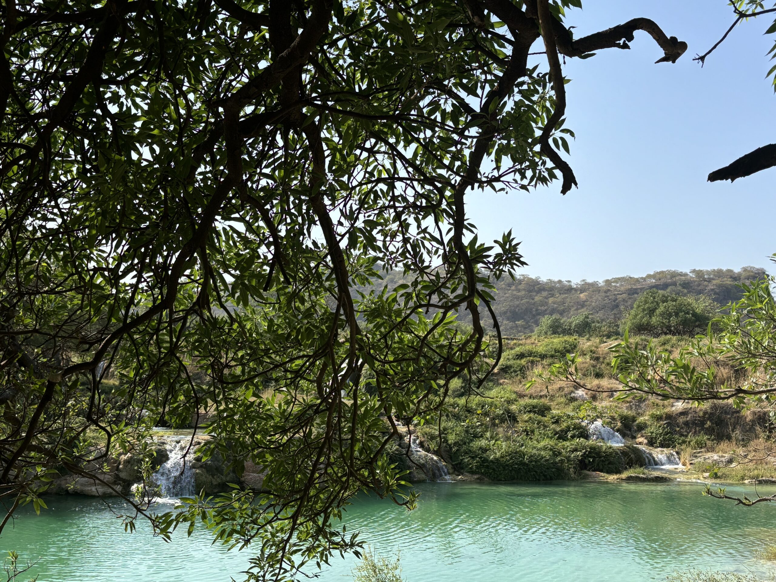 Wadi Darbat Waterfalls