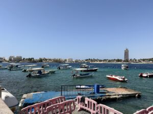 boats in the water with a city in the background