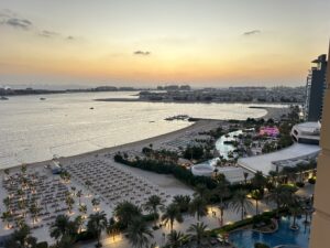 a beach with palm trees and a body of water