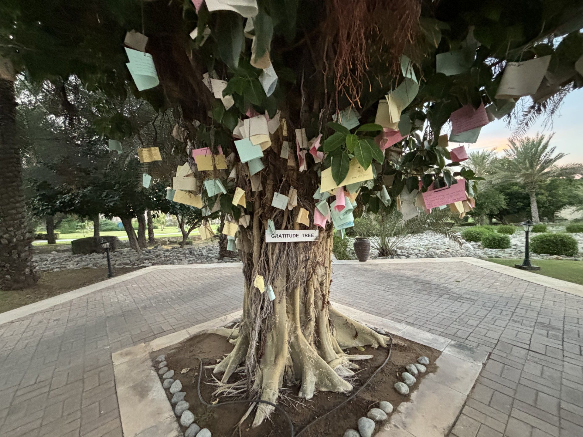 Gratitude Tree