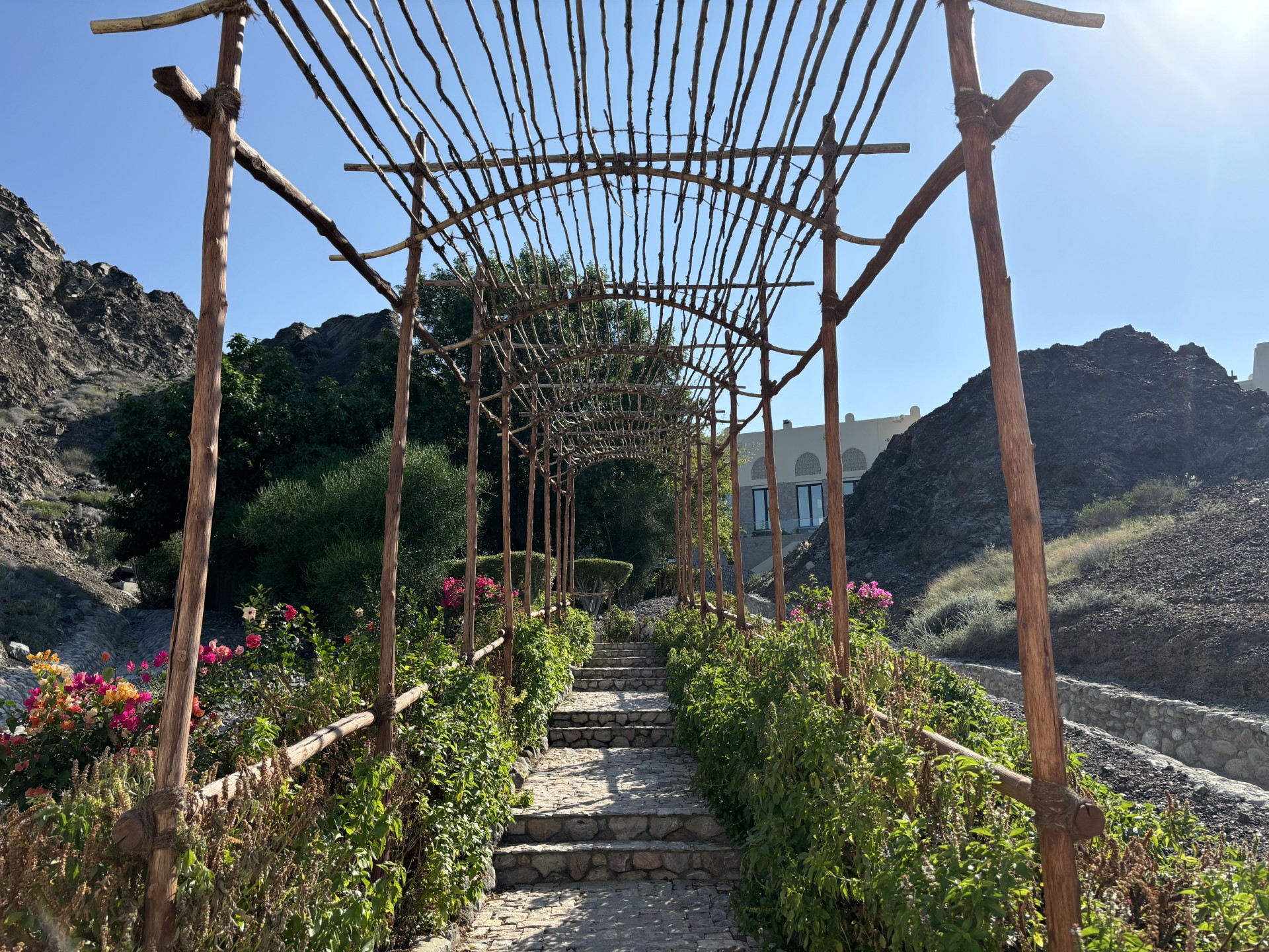 Stairs leading to Ladies Beach