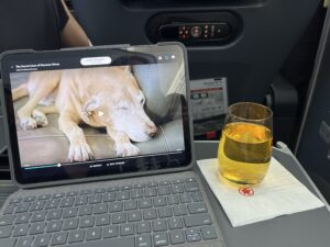 a laptop and a glass of liquid
