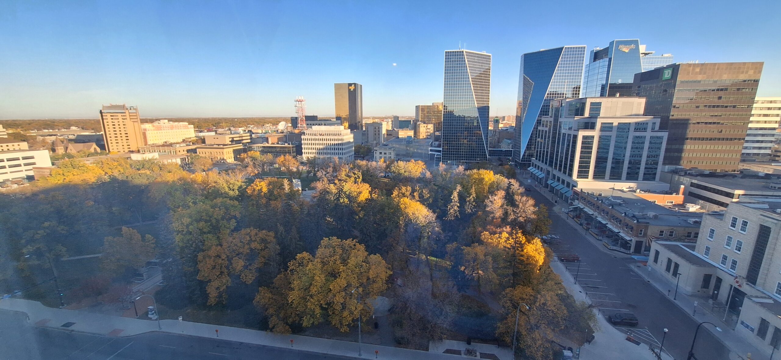 a city with trees and buildings