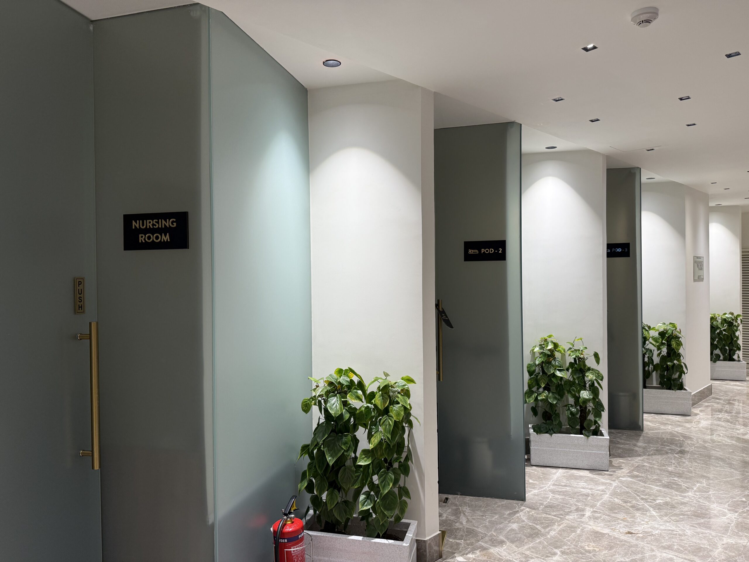 a row of tall white columns with plants in front of them