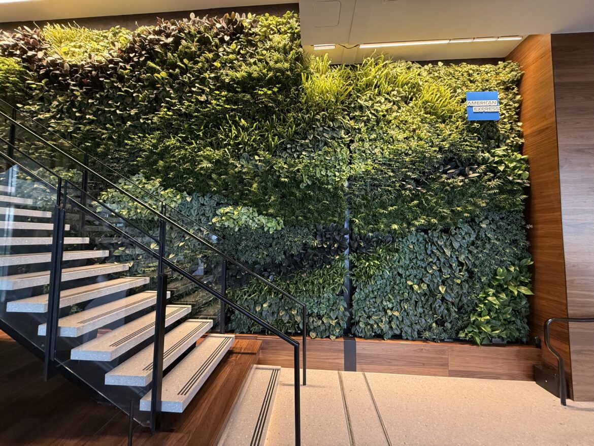 stairs with plants on the wall