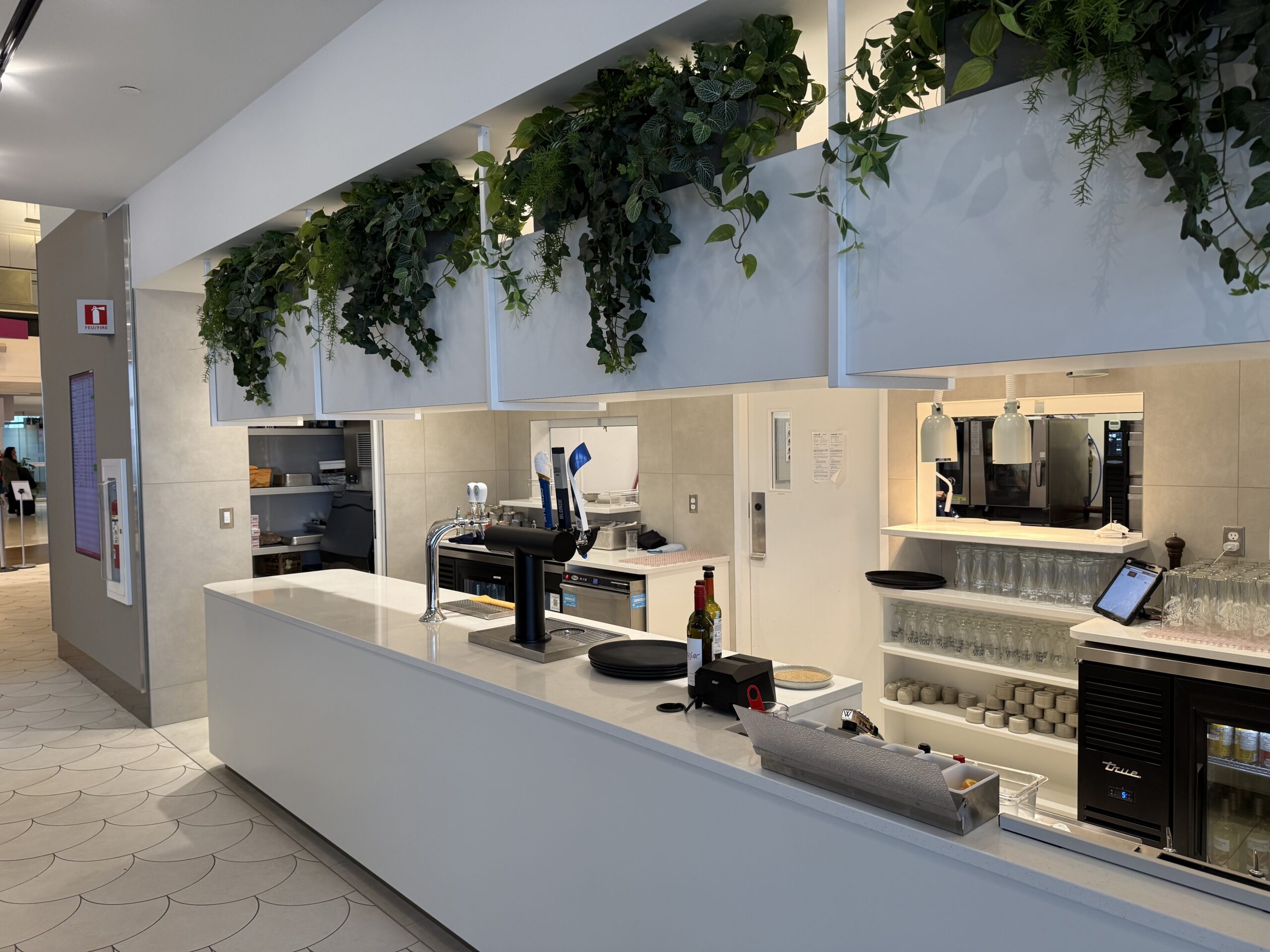 a white counter with plants on the top