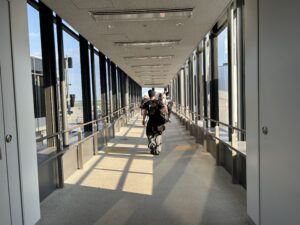 people walking down a walkway with people walking