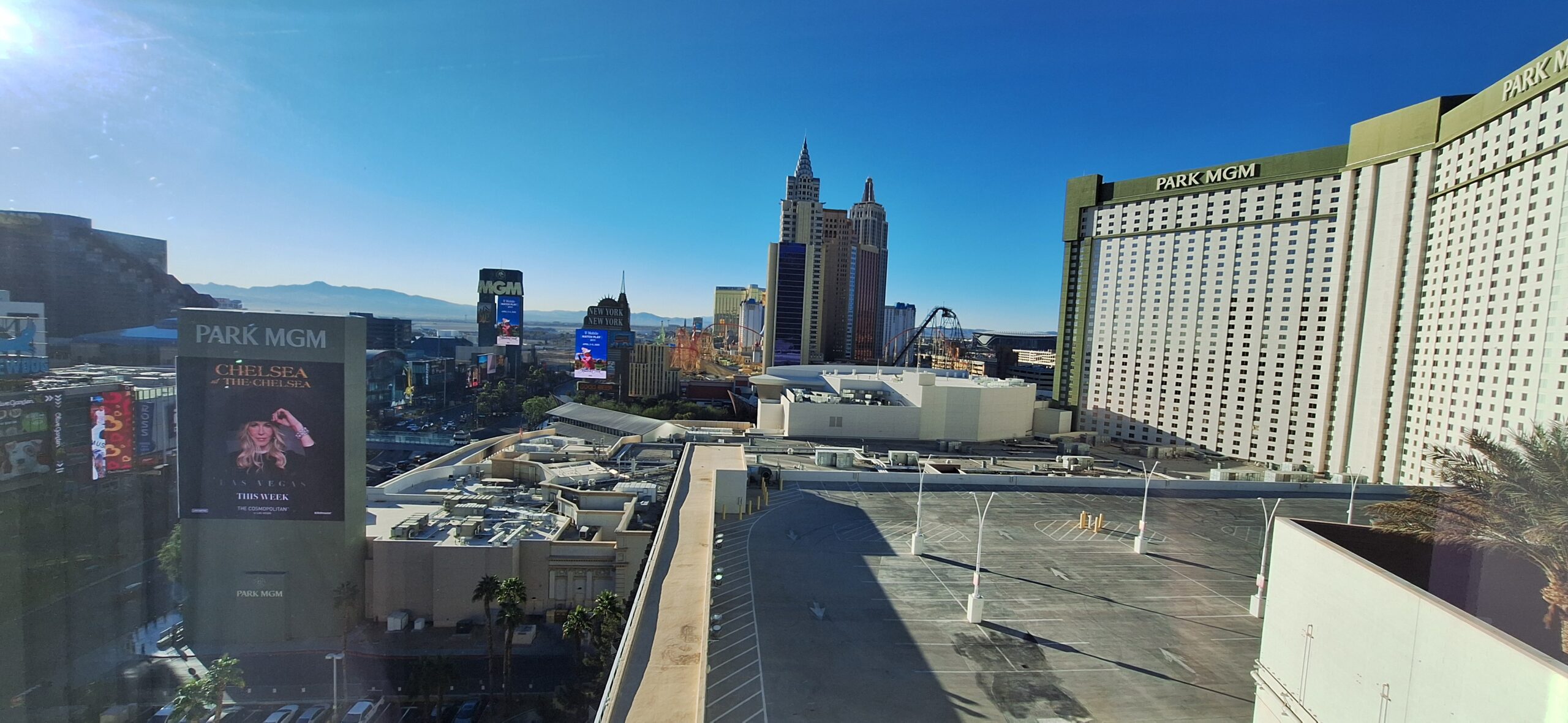 a city skyline with a roller coaster and tall buildings