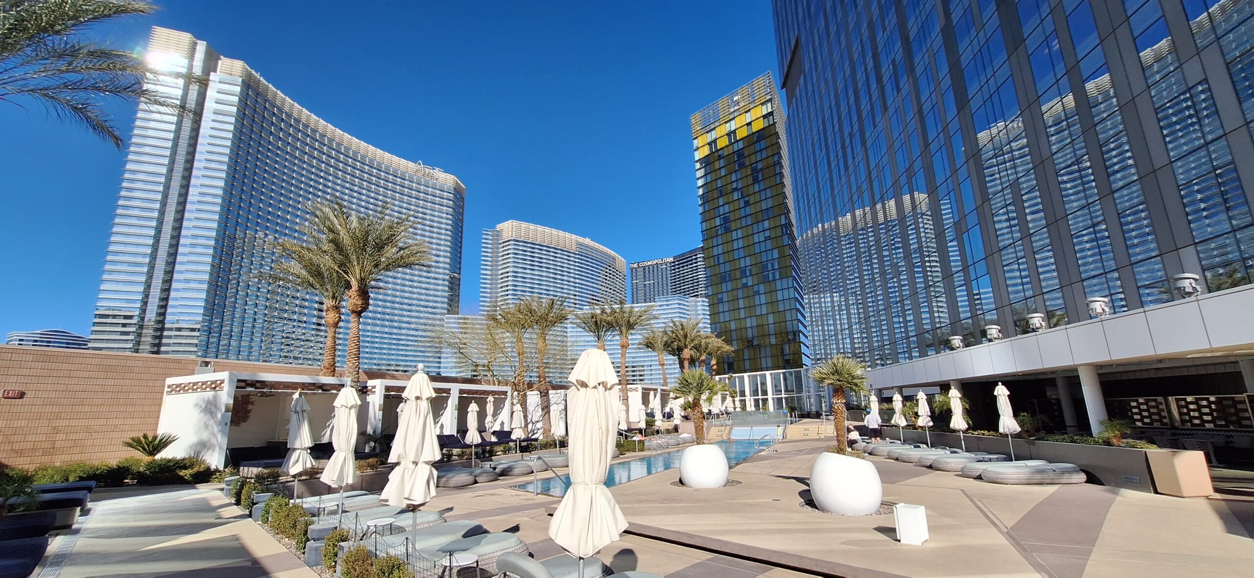 a pool with umbrellas and palm trees in front of a large building