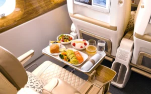 food on a tray in a plane