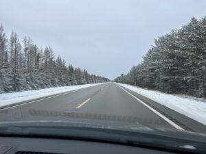 a road with trees in the snow