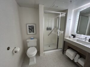 a bathroom with a shower and toilet