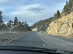a road with trees on the side