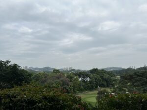 a view of a park with trees and a city in the background
