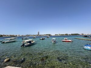 boats in the water with boats