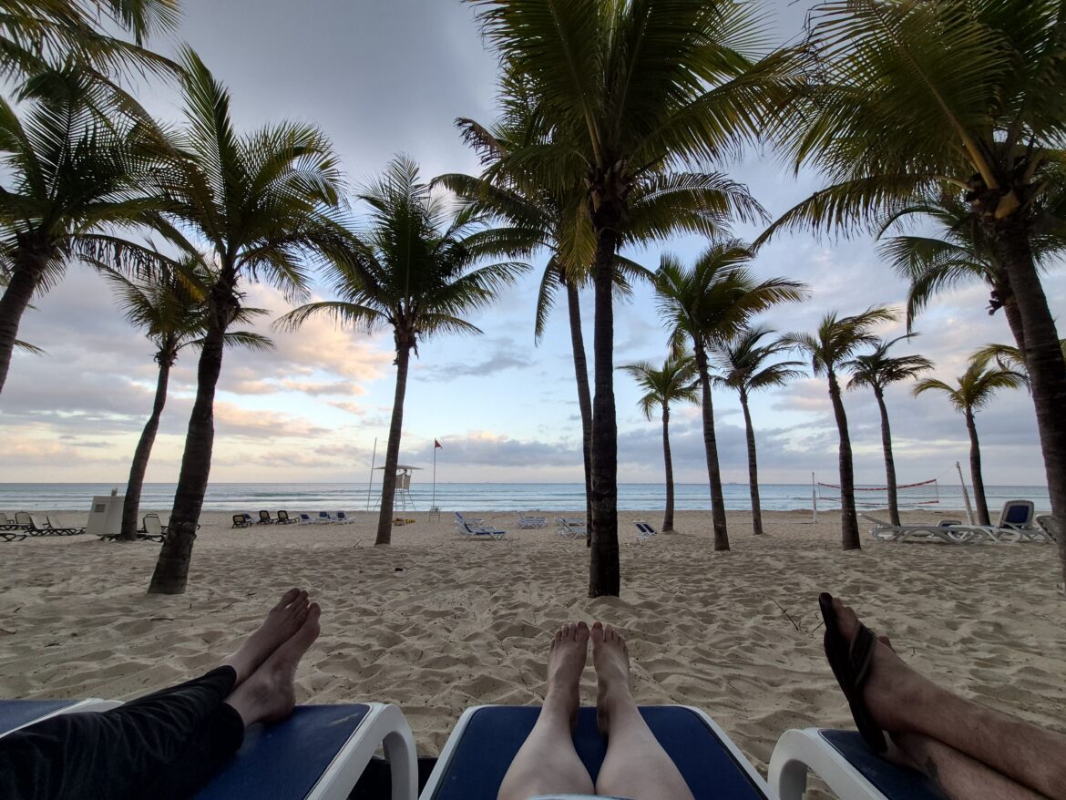 a group of people lying on lounge chairs on a beach with palm trees