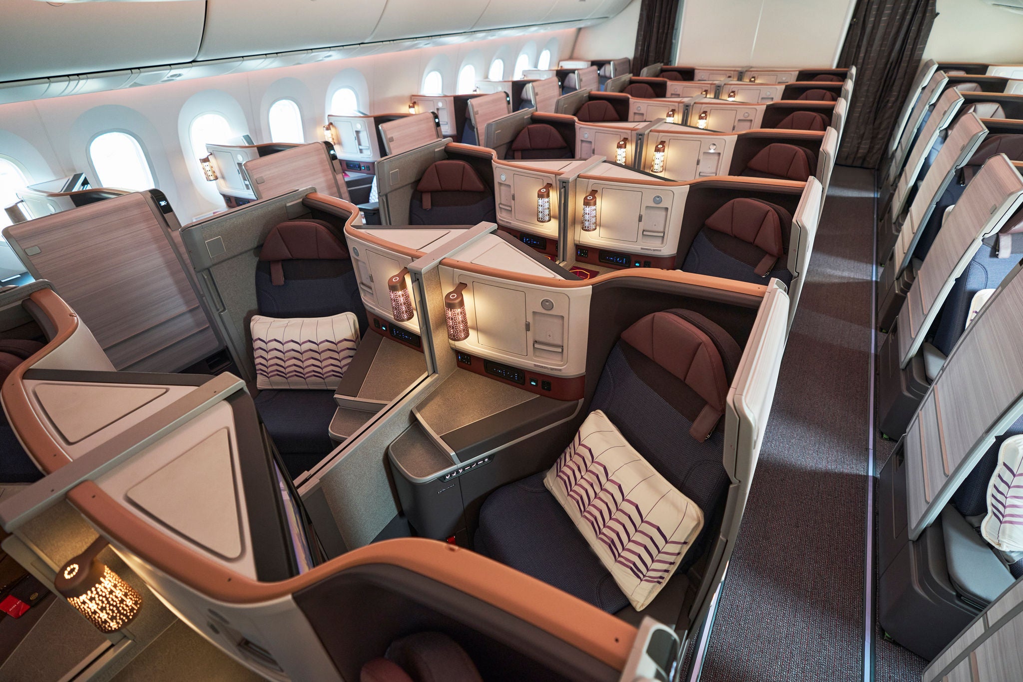 Air India's bespoke B787-9 business class 