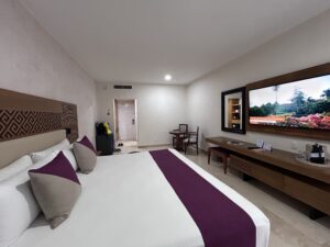 Review Viva Azteca Resort Mexico a room with a bed and television