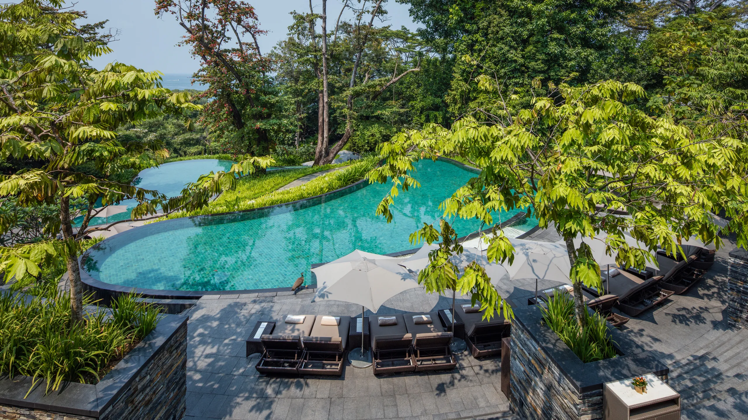 a pool with chairs and umbrellas