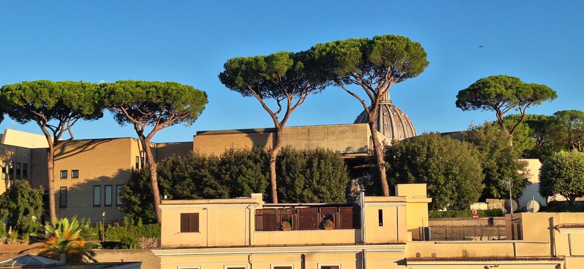 a building with trees on top of it