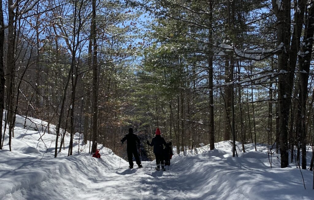 a group of people on skis in the snow