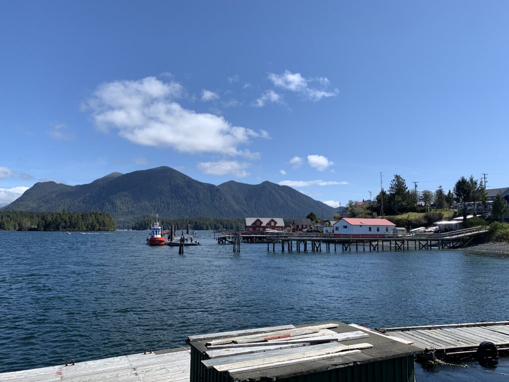 a dock with boats in the water
