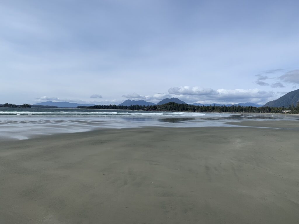 a beach with water and trees