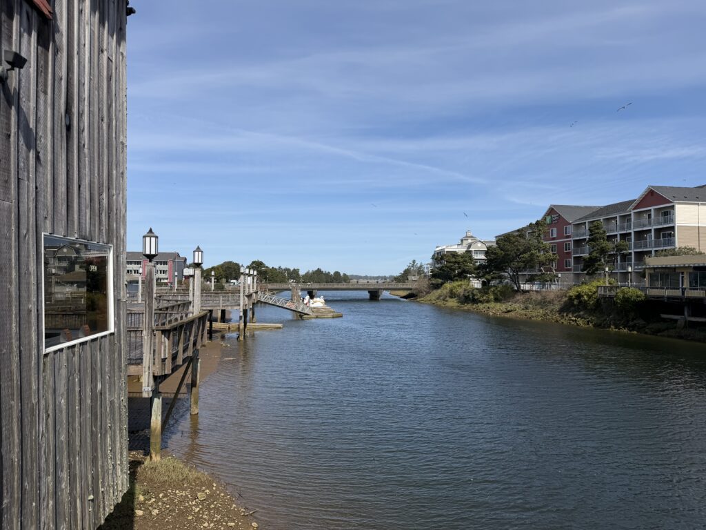 a river with a bridge and buildings