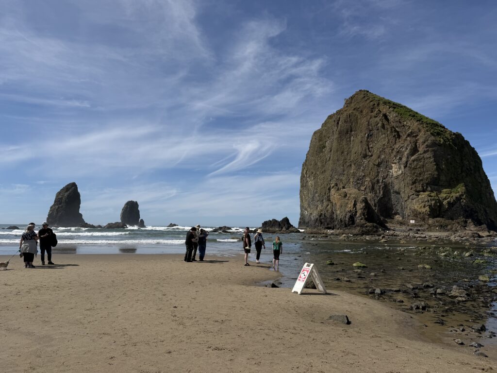 a group of people on a beach