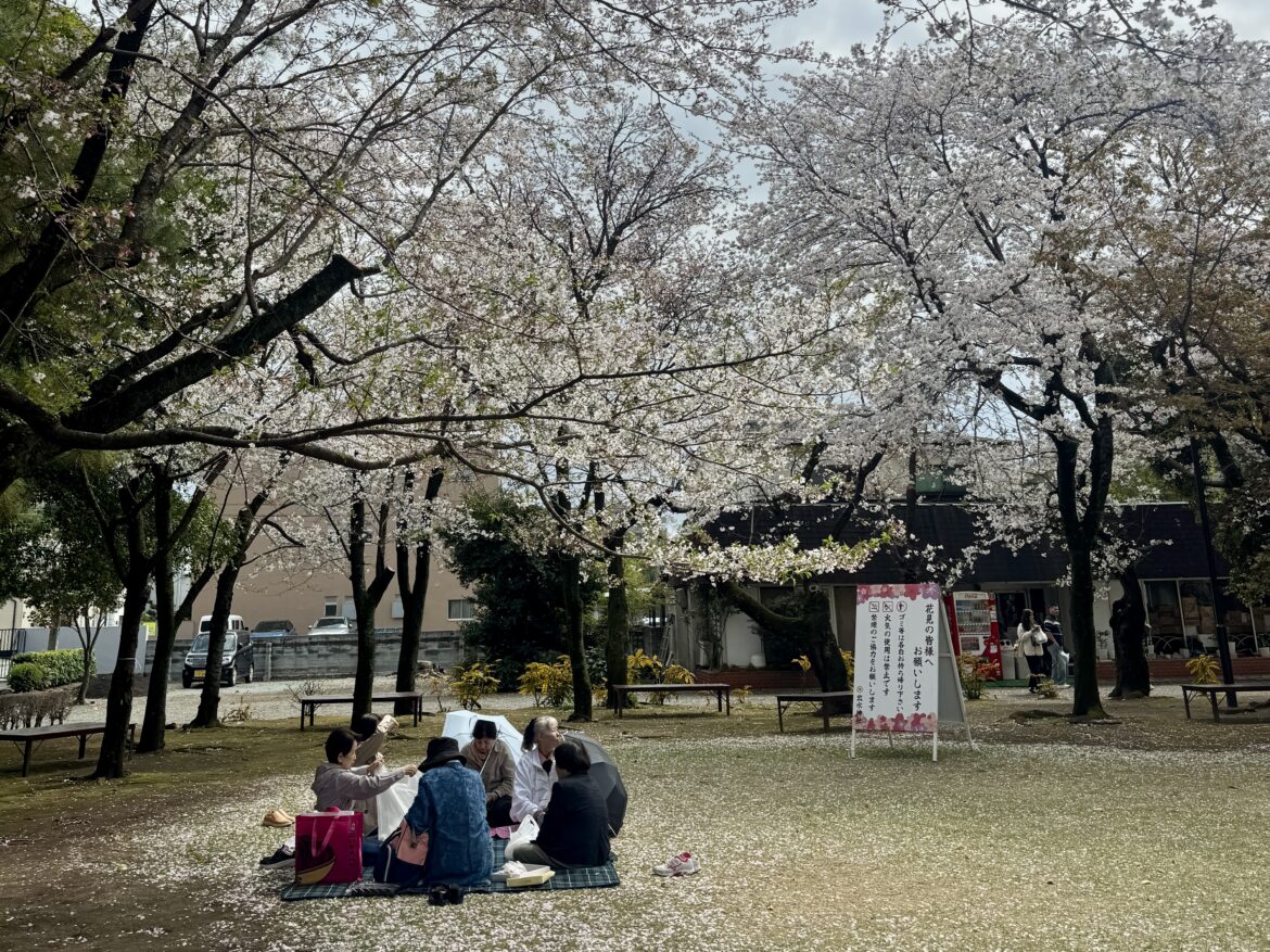 a group of people sitting on a blanket under a tree